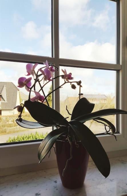 Ferienwohnung Nahe Der Ostsee Steinhagen  Buitenkant foto